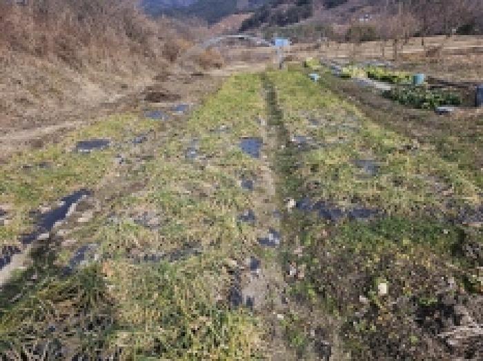 전라남도 구례군 산동면 원달리 289 답 경매 사진 4