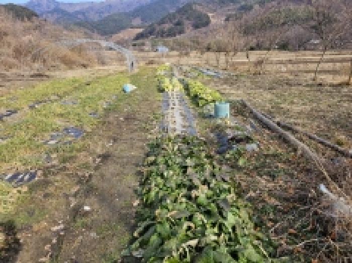 전라남도 구례군 산동면 원달리 289 답 경매 사진 5