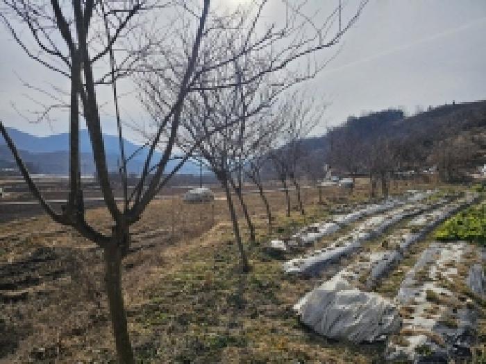 전라남도 구례군 산동면 원달리 289 답 경매 사진 7