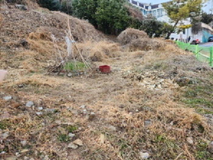 전라남도 광양시 광영동 394 전 경매 사진 4