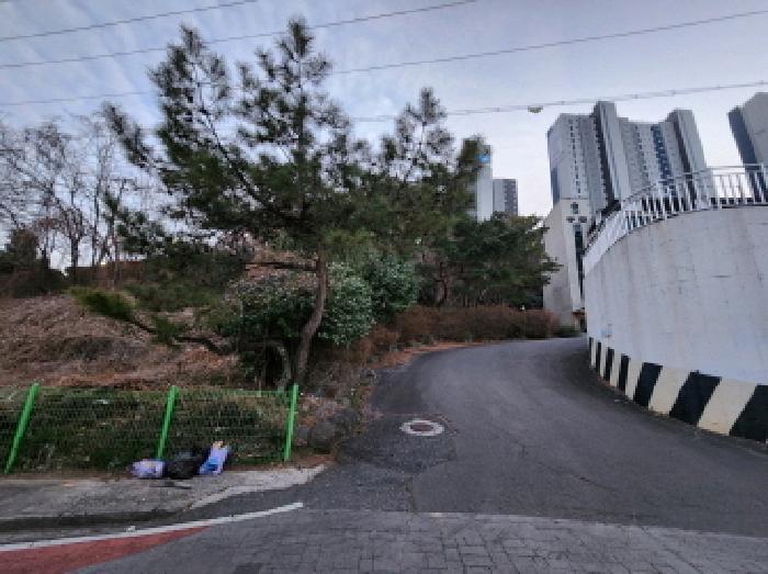 전라남도 광양시 광영동 394 전 경매 사진 6