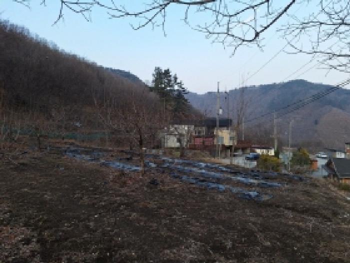 전라남도 광양시 진상면 어치리 766-1 답 경매 사진 16