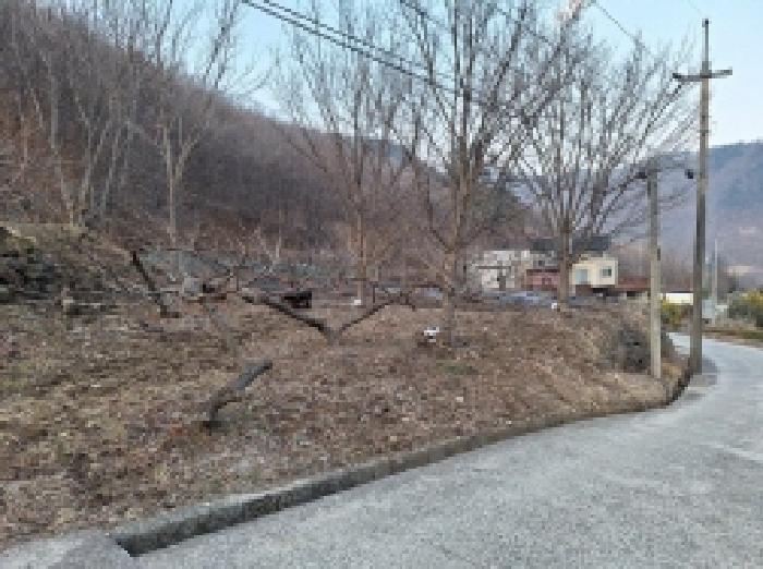 전라남도 광양시 진상면 어치리 975 답 경매 사진 13