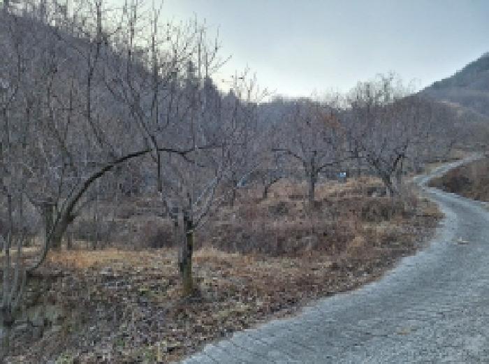 전라남도 광양시 진상면 어치리 975 답 경매 사진 17