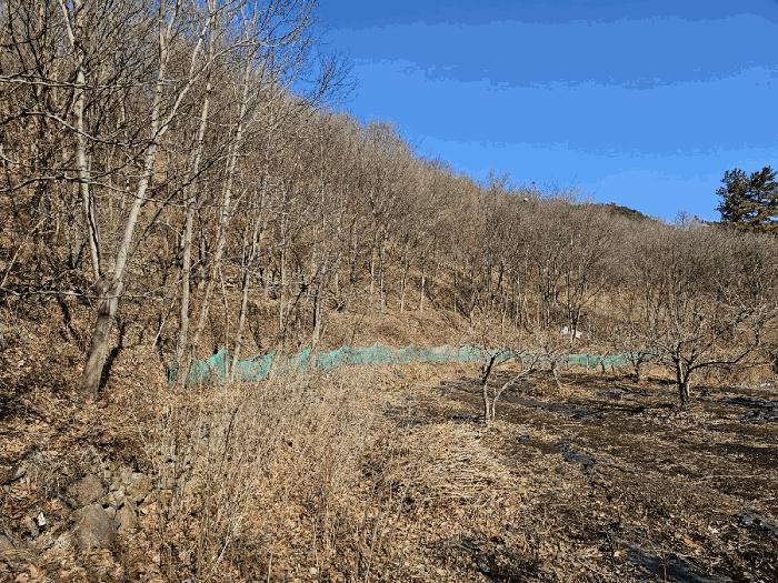 전라남도 광양시 진상면 어치리 975 답 경매 사진 3