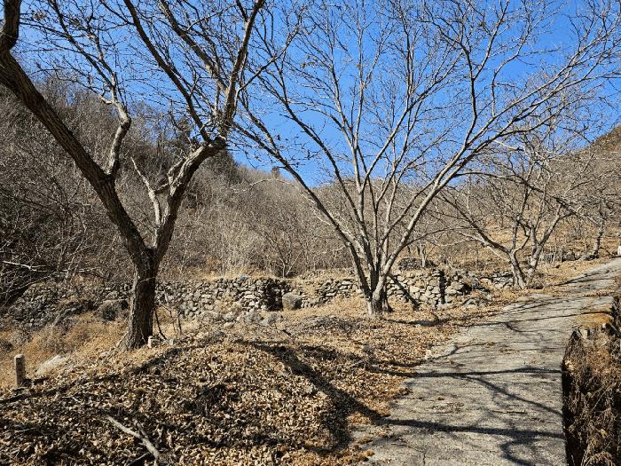 전라남도 광양시 진상면 어치리 975 답 경매 사진 6