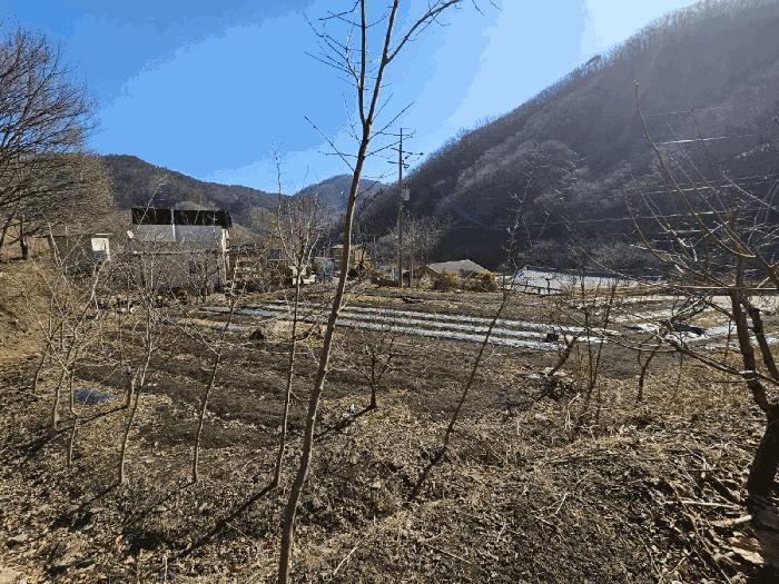 전라남도 광양시 진상면 어치리 975 답 경매 사진 7