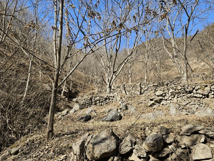 전라남도 광양시 진상면 어치리 975 답 경매 사진 8