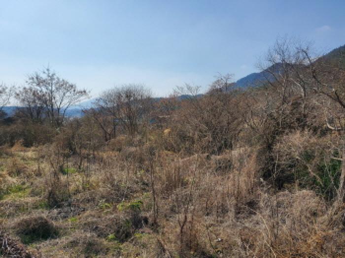 전라남도 고흥군 점암면 천학리 519 전 경매 사진 16