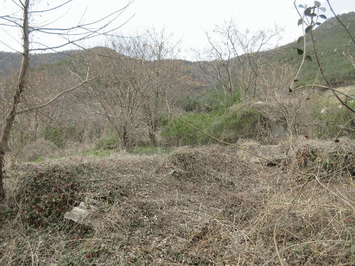 전라남도 고흥군 점암면 천학리 519 전 경매 사진 3