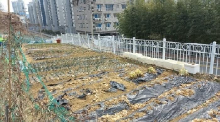 경상남도 거제시 아주동 산72 임야 경매 사진 16