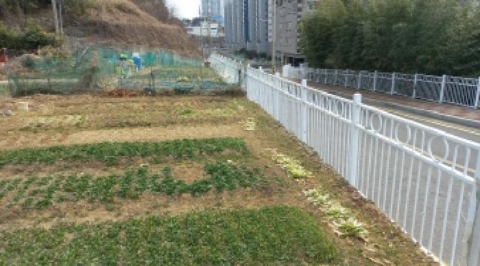 경상남도 거제시 아주동 산72 임야 경매 사진 19