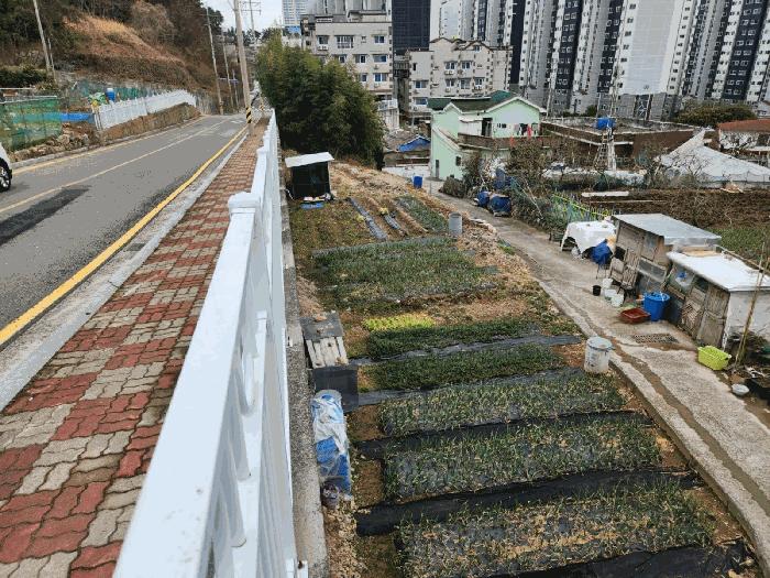 경상남도 거제시 아주동 산72 임야 경매 사진 3
