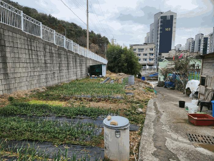 경상남도 거제시 아주동 산72 임야 경매 사진 4