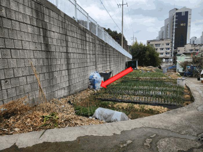 경상남도 거제시 아주동 산72 임야 경매 사진 7