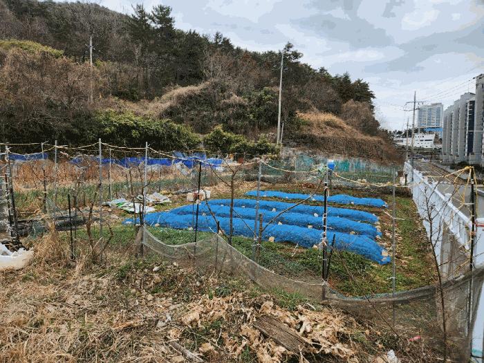 경상남도 거제시 아주동 1454 전 경매 사진 10
