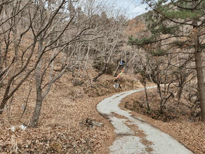 경상남도 거제시 아주동 1454 전 경매 사진 13