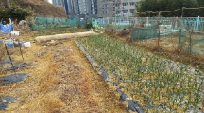 경상남도 거제시 아주동 1454 전 경매 사진 18