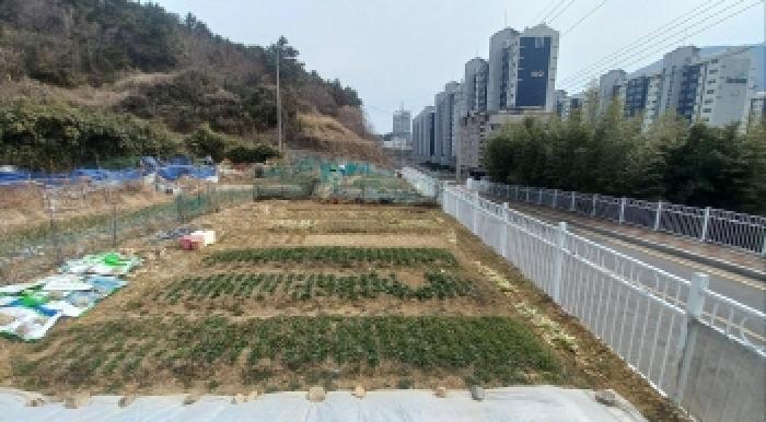 경상남도 거제시 아주동 1454 전 경매 사진 20