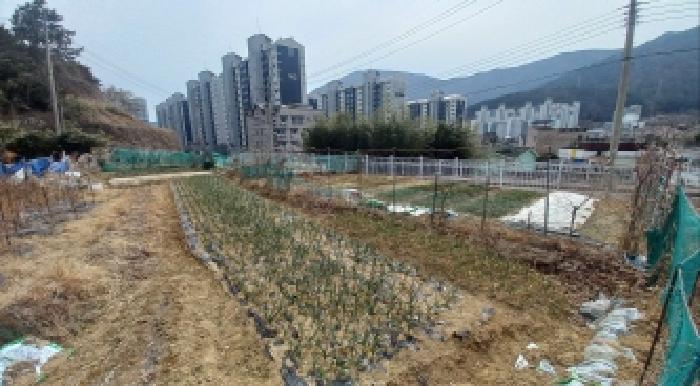 경상남도 거제시 아주동 1454 전 경매 사진 21