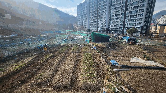 경상남도 거제시 아주동 1201-4 답 경매 사진 2