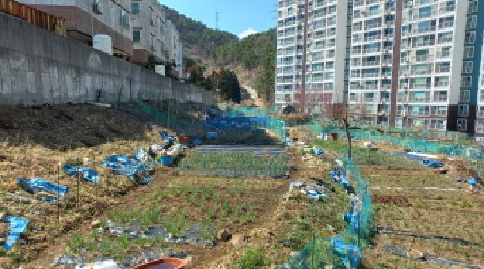 경상남도 거제시 아주동 1201-4 답 경매 사진 7