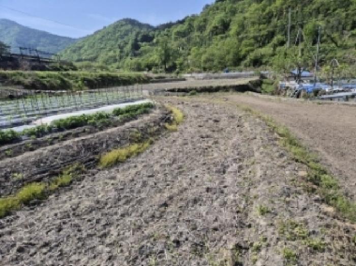경상남도 고성군 영오면 양산리 536 답 경매 사진 12