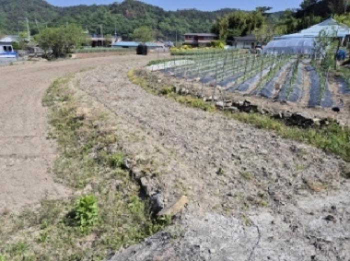 경상남도 고성군 영오면 양산리 536 답 경매 사진 14