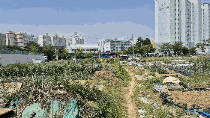 경상남도 거제시 고현동 1084-32 답 경매 사진 1