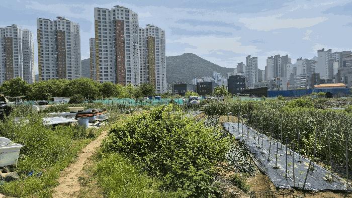 경상남도 거제시 고현동 1084-32 답 경매 사진 2