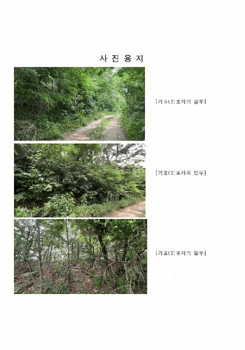 경기도 파주시 문산읍 사목리 342-19 임야 경매 사진 3