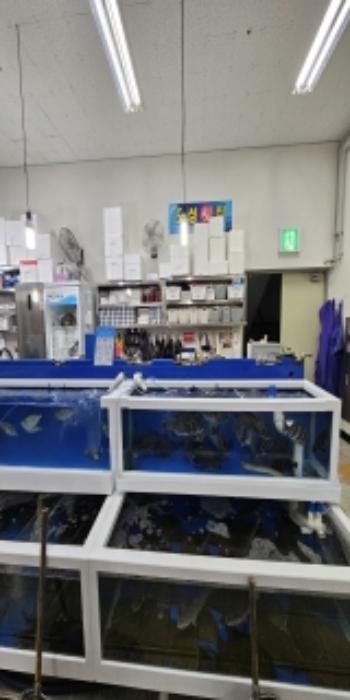 부산광역시 금정구 금강로 700, 1층142호구) 부산광역시 금정구 남산동 93-1 근린상가 경매 사진 35
