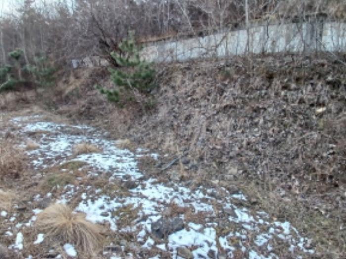 충청남도 당진시 대호지면 장정리 380-1 임야 경매 사진 10