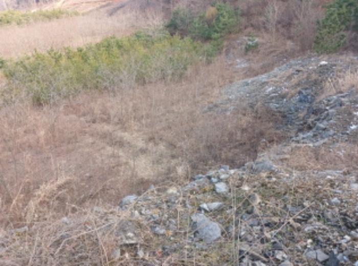충청남도 당진시 대호지면 장정리 380-1 임야 경매 사진 11