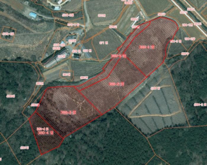 충청남도 당진시 대호지면 장정리 380-1 임야 경매 사진 2