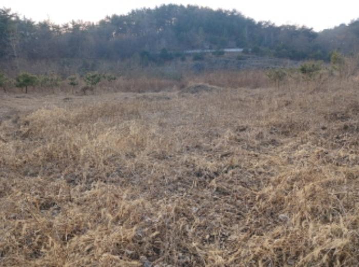 충청남도 당진시 대호지면 장정리 380-1 임야 경매 사진 5