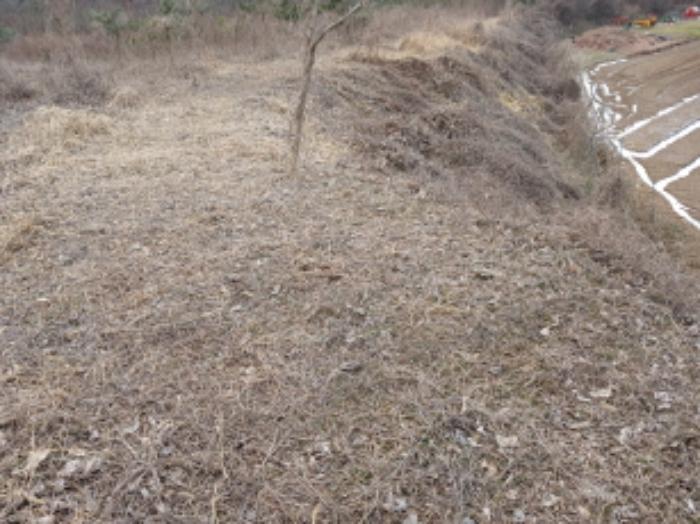 충청남도 당진시 대호지면 장정리 380-1 임야 경매 사진 6