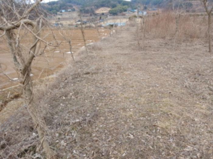 충청남도 당진시 대호지면 장정리 380-1 임야 경매 사진 7