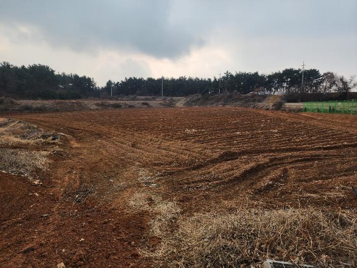 충청남도 서산시 부석면 강당리 47-2 전 경매 사진 16