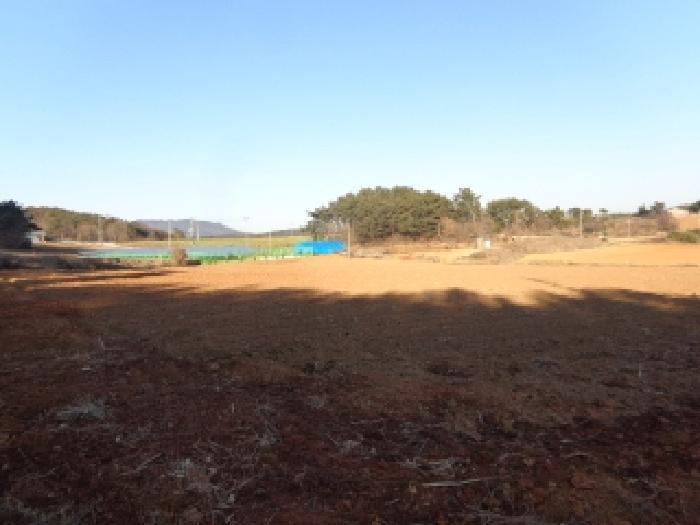 충청남도 서산시 부석면 강당리 47-2 전 경매 사진 28