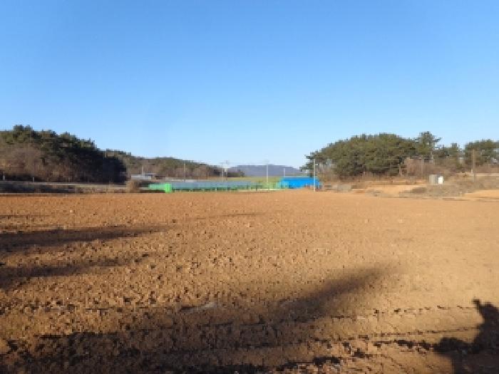 충청남도 서산시 부석면 강당리 47-2 전 경매 사진 29