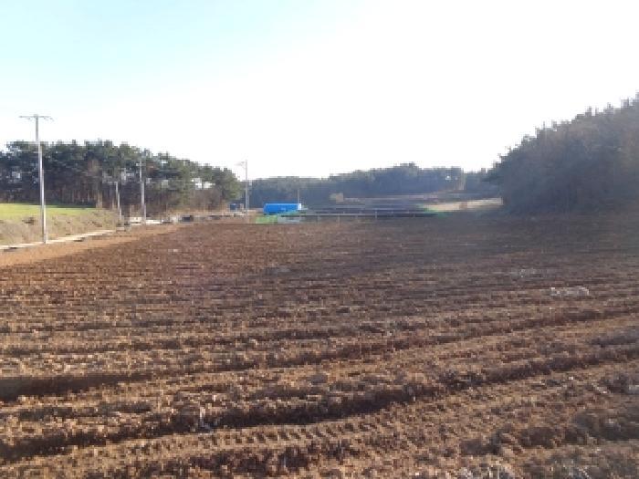 충청남도 서산시 부석면 강당리 47-2 전 경매 사진 36