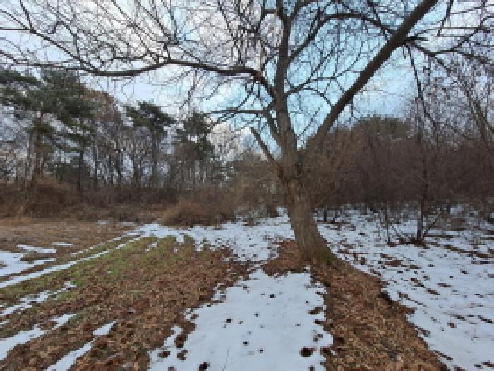 충청남도 당진시 송악읍 복운리 93-1 임야 경매 사진 35