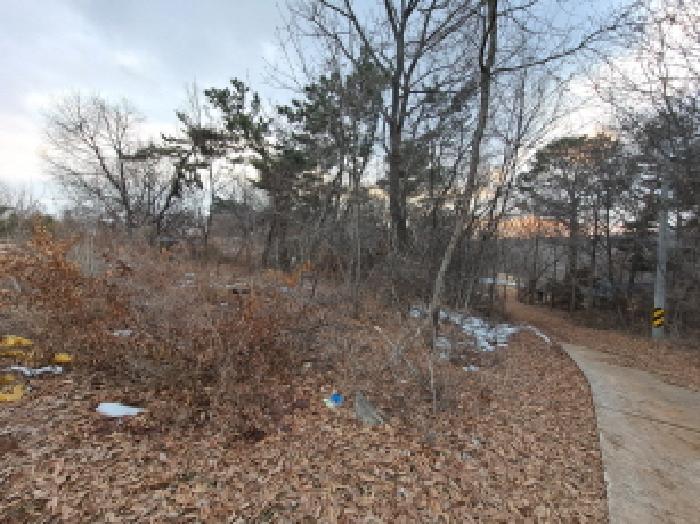 충청남도 당진시 송악읍 복운리 98-1 임야 경매 사진 13