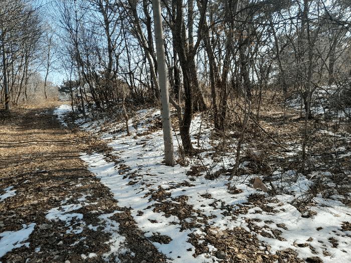 충청남도 당진시 송악읍 복운리 98-1 임야 경매 사진 5