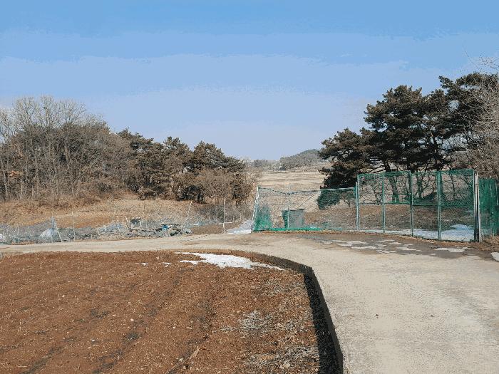 충청남도 당진시 송악읍 복운리 98-1 임야 경매 사진 7