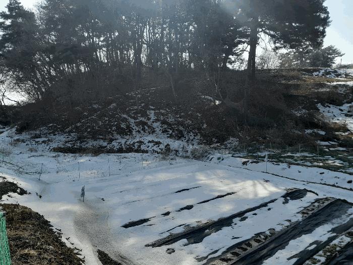 충청남도 당진시 송악읍 복운리 154-155 임야 경매 사진 1