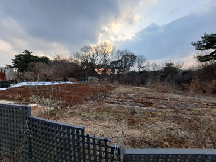 충청남도 당진시 송악읍 복운리 154-155 임야 경매 사진 15