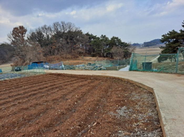 충청남도 당진시 송악읍 복운리 154-155 임야 경매 사진 23