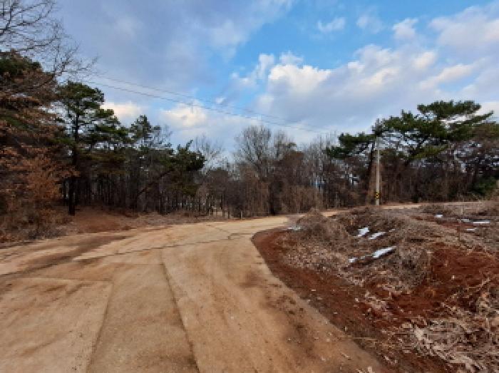 충청남도 당진시 송악읍 복운리 154-155 임야 경매 사진 29